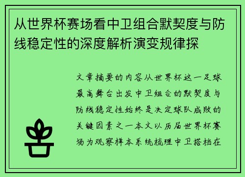 从世界杯赛场看中卫组合默契度与防线稳定性的深度解析演变规律探